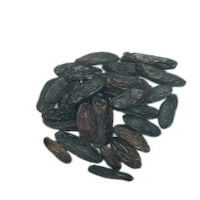 TONKA BEANS BRAZIL